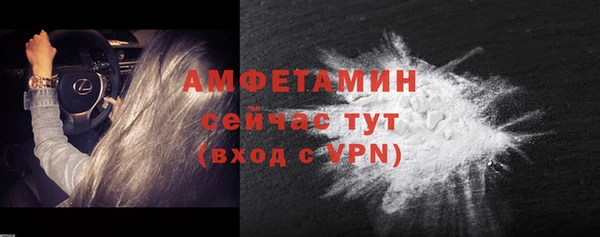 гашик Ветлуга