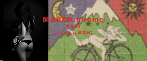 гашик Ветлуга