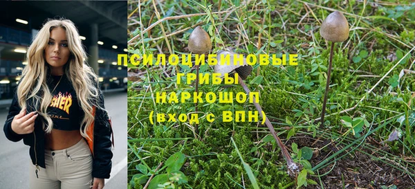 мяу мяу мука Армянск